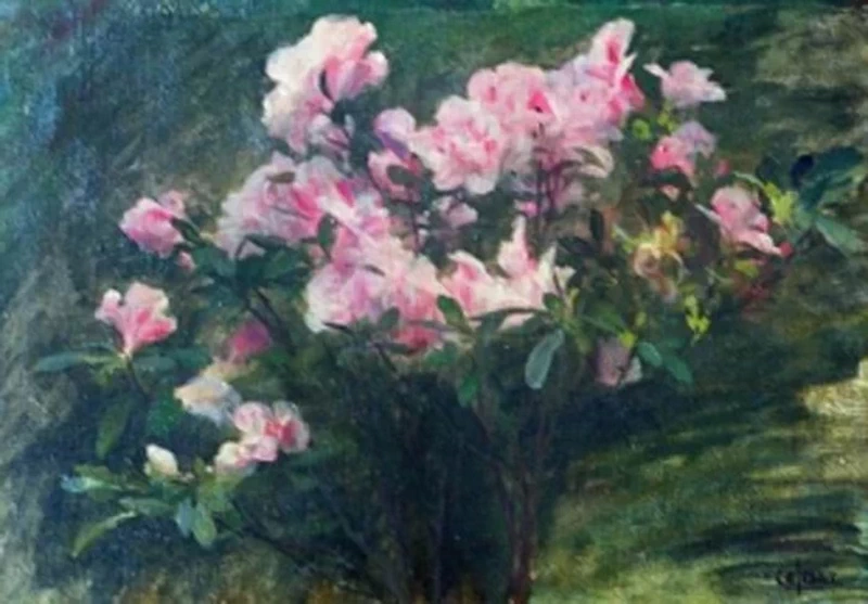 Studio delle azalee